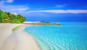 beach 1824855 e1544688027728